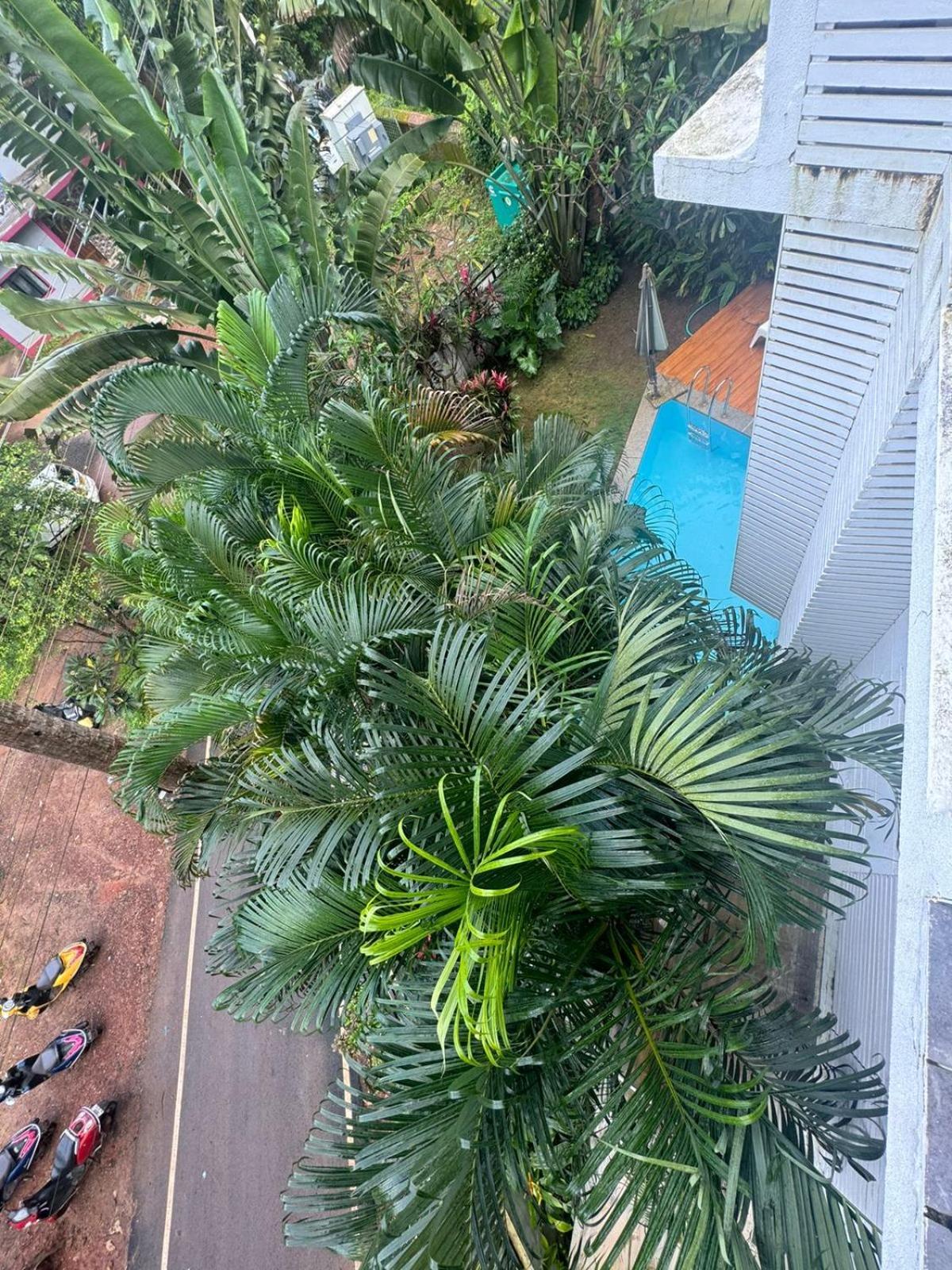 Half Hotel, كالانغيُت المظهر الخارجي الصورة